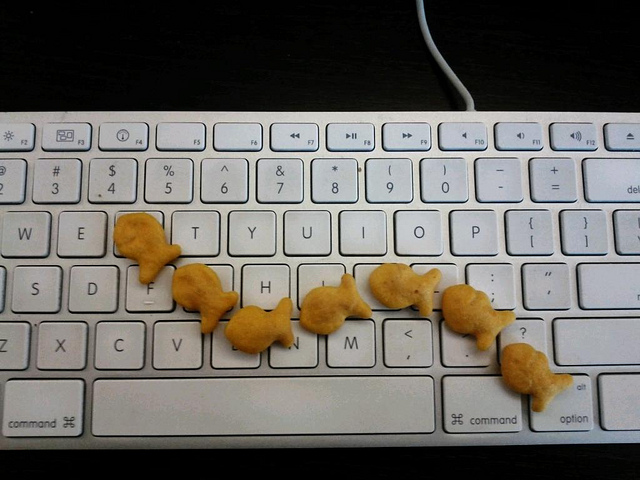 goldfish on a keyboard