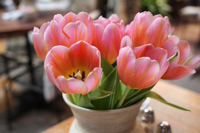 brunch flowers on a table